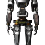 Phoenix Sanctuary AI