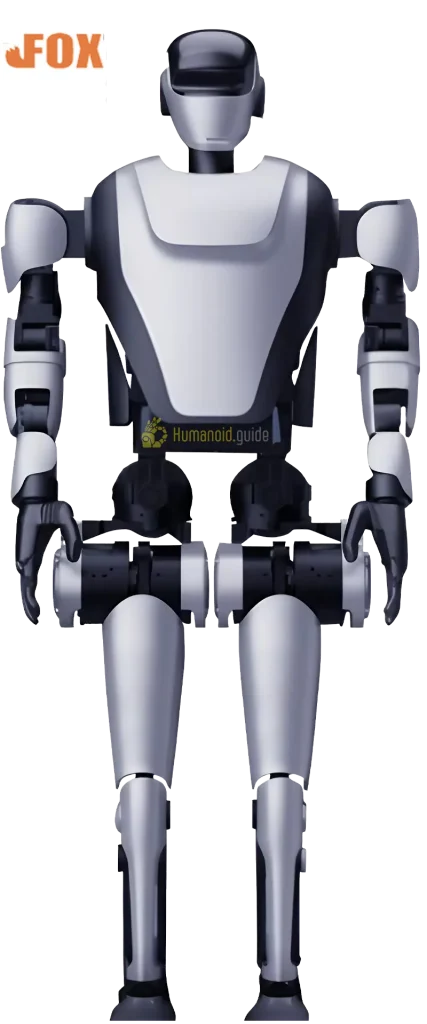 Leju Robotics