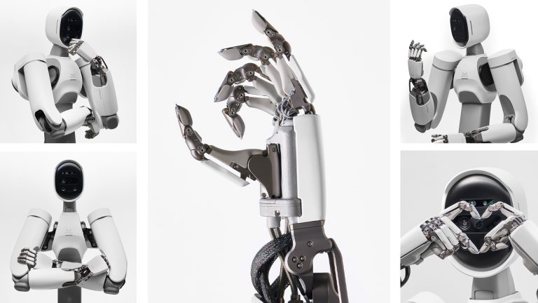 ALLEX humanoid guide