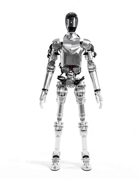 What is a humanoid robot